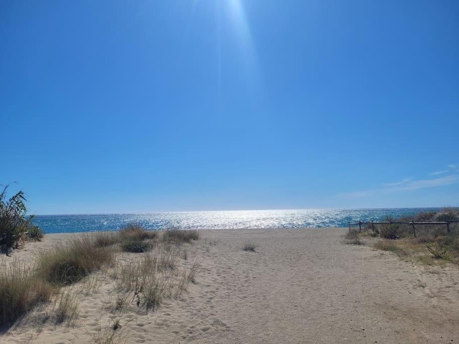Joli Studio Bleu Mer Canet-en-Roussillon Esterno foto
